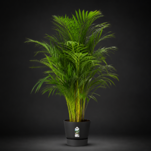 Elho Greenville Round Plant Pot with Integrated Base 40cm Living Black