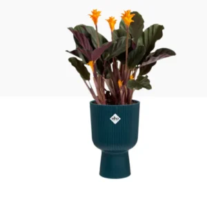 Elho Vibes Fold Coupe Display Plant Pot 14cm Deep Blue