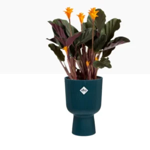 Elho Vibes Fold Coupe Display Plant Pot 14cm Deep Blue